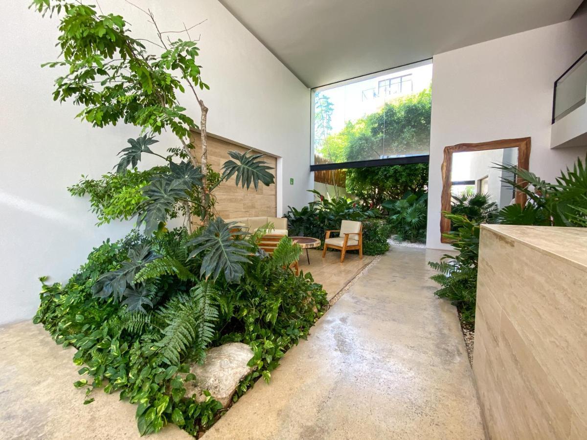 Big Studio At Kaab By The Beach With Roof Top Pool, Sauna And Jacuzzi Near Paseo Del Carmen Mall Πλάγια Ντελ Κάρμεν Εξωτερικό φωτογραφία