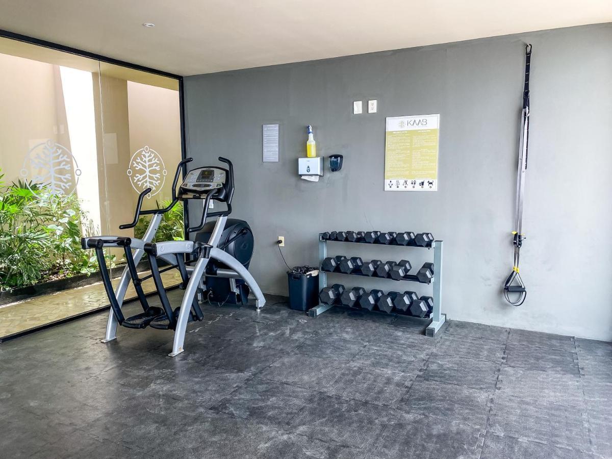 Big Studio At Kaab By The Beach With Roof Top Pool, Sauna And Jacuzzi Near Paseo Del Carmen Mall Πλάγια Ντελ Κάρμεν Εξωτερικό φωτογραφία