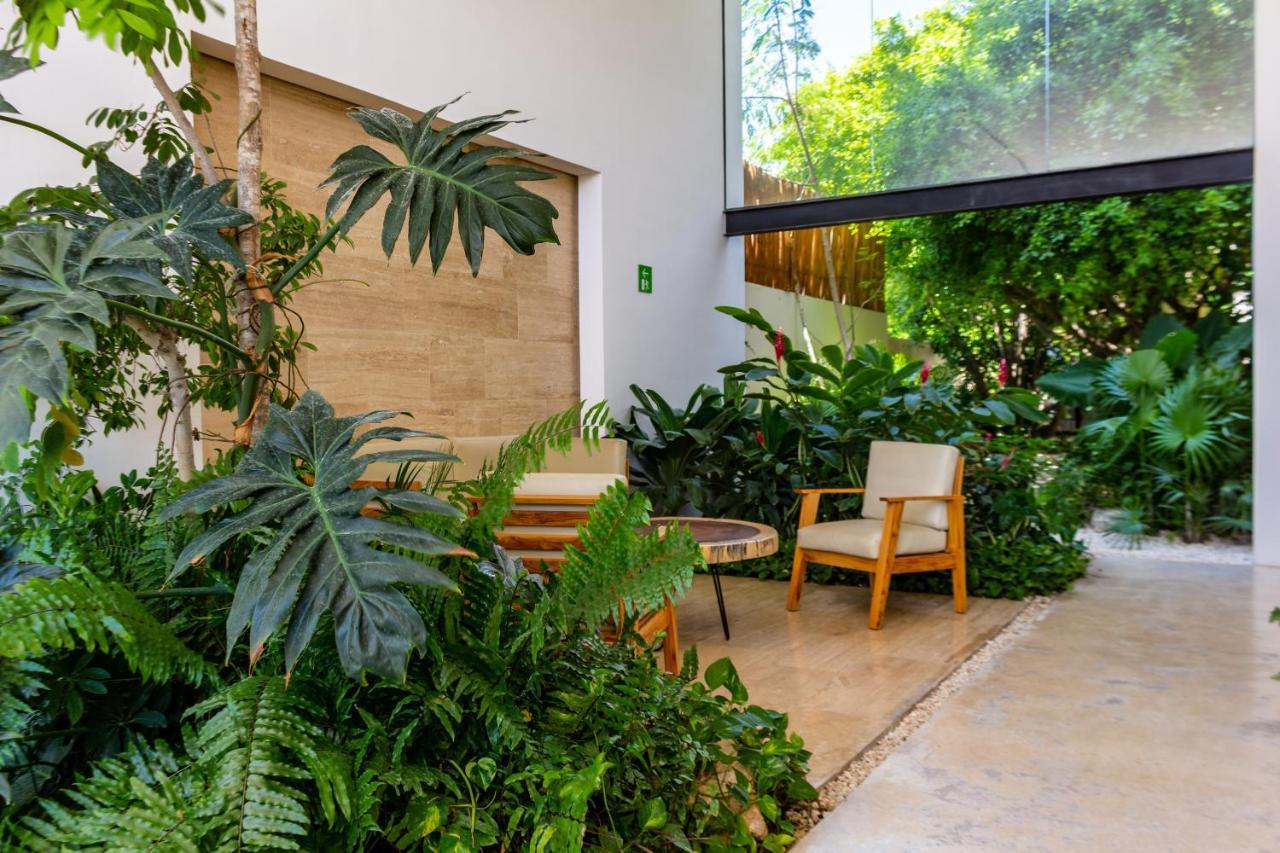Big Studio At Kaab By The Beach With Roof Top Pool, Sauna And Jacuzzi Near Paseo Del Carmen Mall Πλάγια Ντελ Κάρμεν Εξωτερικό φωτογραφία