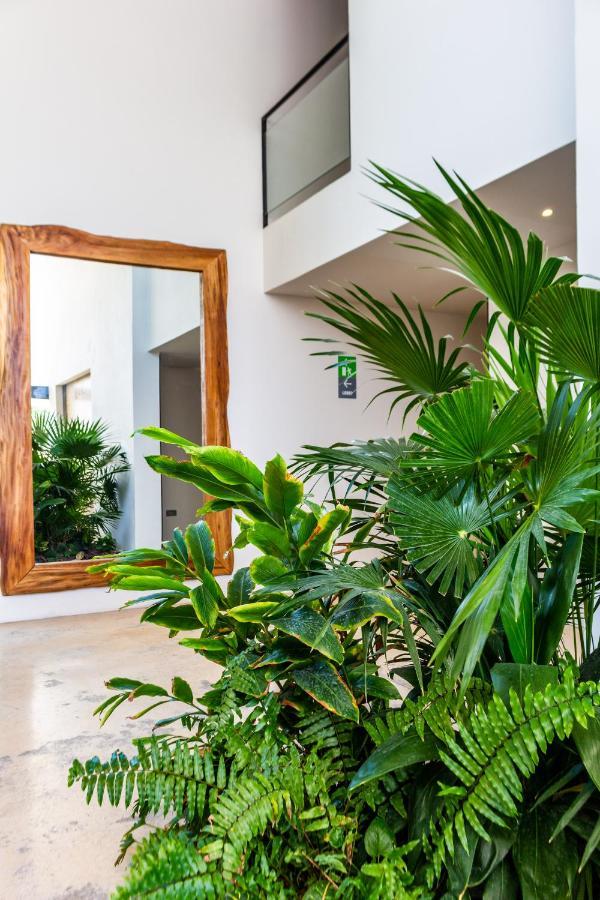 Big Studio At Kaab By The Beach With Roof Top Pool, Sauna And Jacuzzi Near Paseo Del Carmen Mall Πλάγια Ντελ Κάρμεν Εξωτερικό φωτογραφία